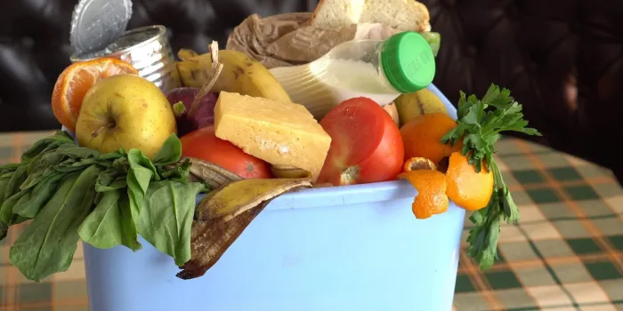 uneaten spoiled vegetables are thrown in the trash food loss and food waste reducing wasted food at home